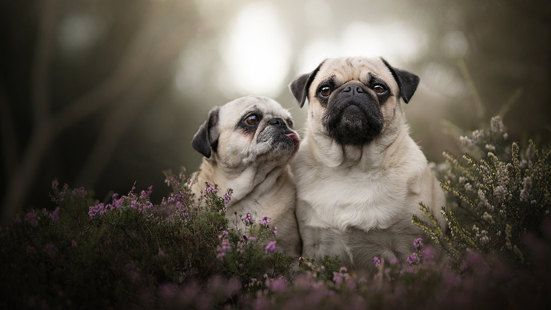 全民健身：全民参与，打造健康生活新方式，全民健身,下一句是什么