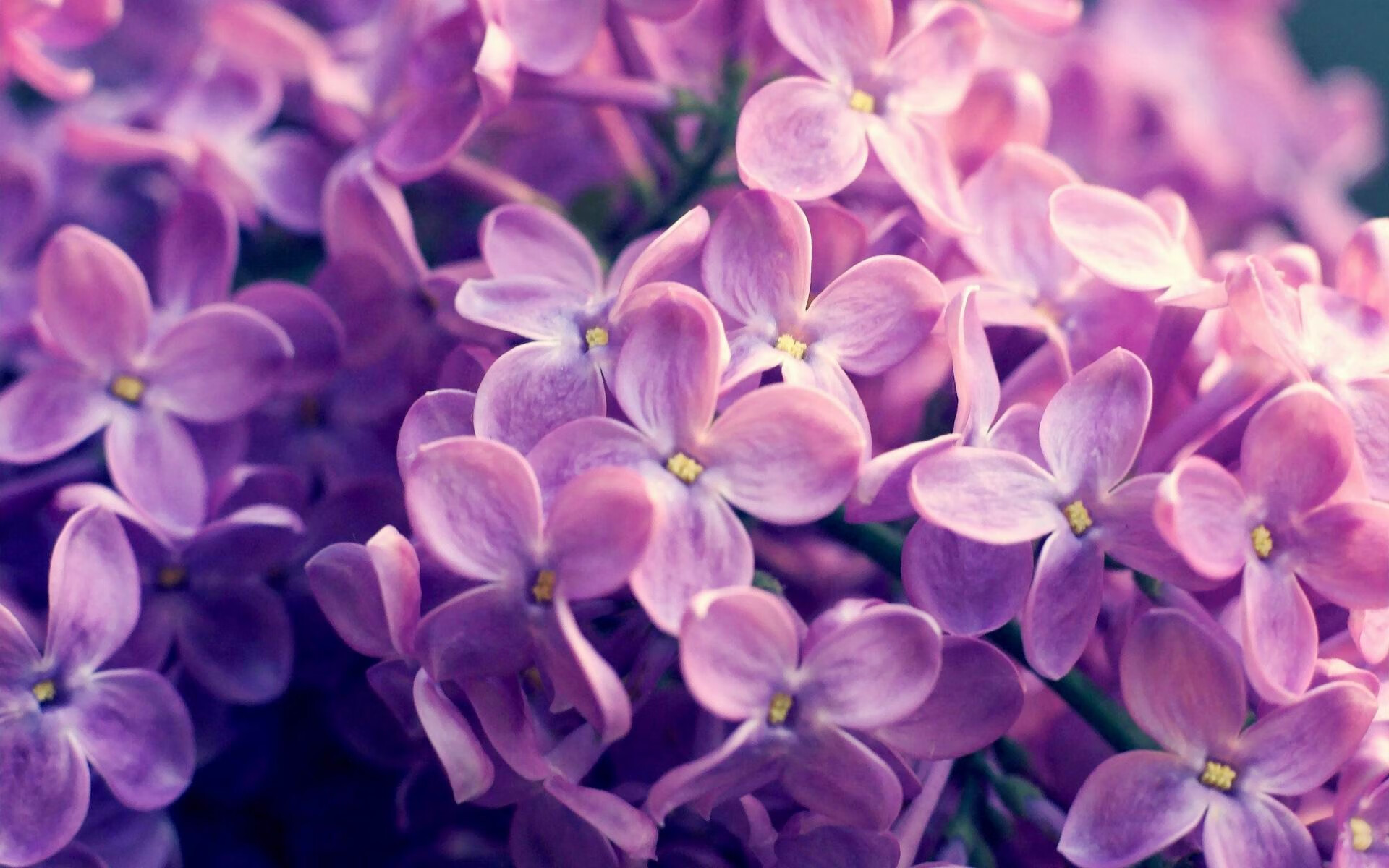 开云平台-墨西哥男足在巴黎奥运会上展现出强大的进攻火力，墨西哥男足奥运会成绩